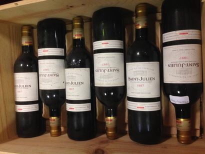 null 6 bouteilles SAINT-JULIEN Grand vin de Bordeaux 1997

Maison Calvet