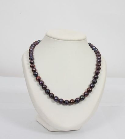 null COLLIER RAS DE COU EN PERLES GRISES

Dimension: 50 cm