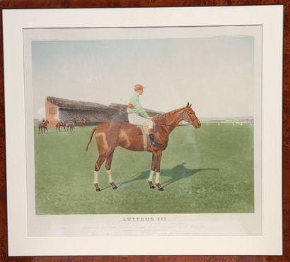 null GRAVURE "PORTRAIT DU CHEVAL LUTTEUR III GAGNANT DU GREAT NATIONAL STEEPLE CHASE...