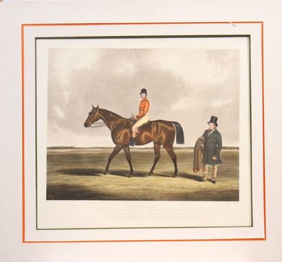 null GRANDE LITHOGRAPHIE "CHEVAL CURE-ALL Winner of the grand National Liverpool...