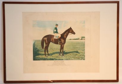 null GRANDE LITHOGRAPHIE "CHEVAL MANISTEE Vincitore del Derby Reale 1924"

Lithographie...