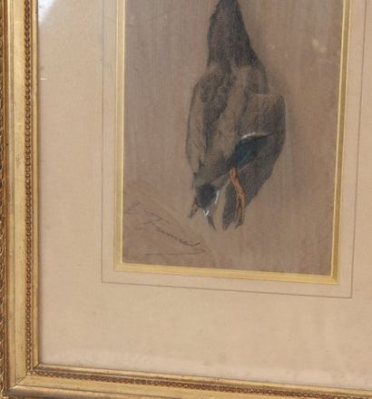 null DESSIN "COL VERT" DE FREMIET (1824-1910)

Pastel et crayon sur papier, encadré...