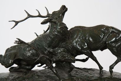 null IMPORTANT BRONZE "COMBAT DE CERFS" DE CLOVIS MASSON (1871-1932)

Bronze à patine...