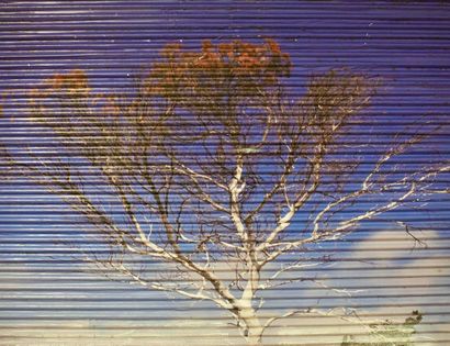 null OEUVRE CREE PAR ALEXANDRA TAUPIAC

"PLEINE LUNE"

Provenance : Marché Biron,...