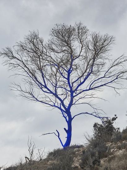 null OEUVRE CREE PAR ALEXANDRA TAUPIAC



"BLUE TREE "2"



Provenance : Marché Biron,...