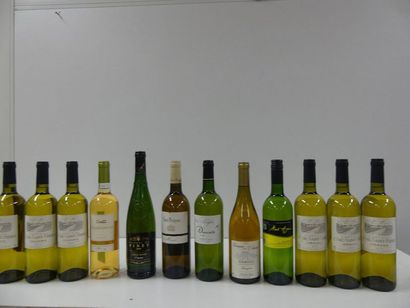 null 12 BTLES : 1 Chardonnay Galician Pays d'Oc 2012 ; 1 Côteaux du Languedoc Picpoul...