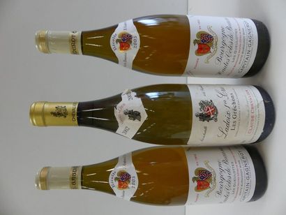 null 3 BTLES : 2 Bourgogne Blanc Hautes Côtes de Beaune Les Gueulottes Capitain Gagnerot...