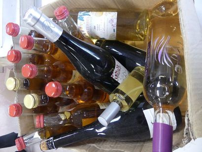 null 17 BTLES : 1 Rosé, 1 Provence Blanc 2006, 1 Vin Cuit, 1 Beaujolais Nouveau 2017...