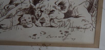 null DESSIN "COUPLE DE LIONS" 1977

Encre sur papier, signé et daté "Carawell 77,...