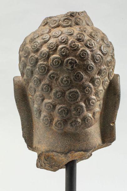 null Tête de Buddha à l’expression sereine coiffée de large boucles ciselées en une...