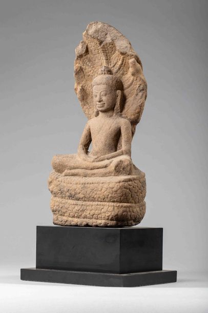 null Buddha Mucilinda assis en méditation virasana sur le corps lové du cobra déployant...