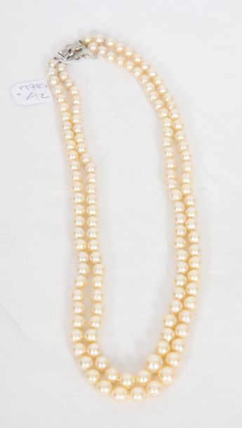 null COLLIER DE PERLES DOUBLE RANG

En perles de culture.

Perles D : 5 à 9 mm

Collier...