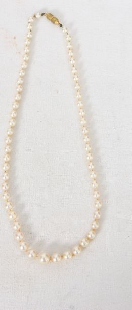 null COLLIER DE PERLES DE CULTURES AKOYA DOUBLE RANG

En perles de culture du Japon,...