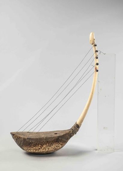 null Harpe. Ivoire. Peau de reptile et ivoire- MANGBETU - ex Congo belge avant 1940...