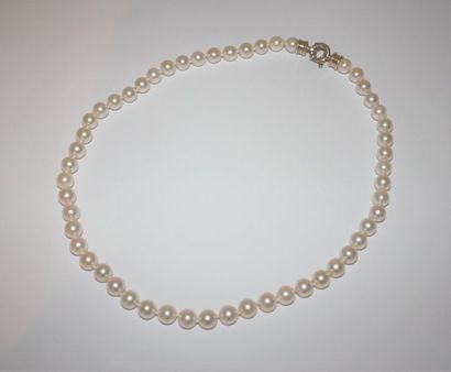 null Collier de perles Akoya Japon 8mm

Fermoir argent , poids argent 4 g