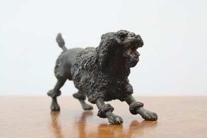null VIENNA. Playful poodle, bronze. 19th century. Dimensions : 7 x 12 x 5 cm.