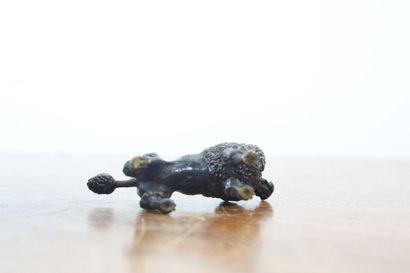 null VIENNA. Poodle, bronze. XIXth century. Dimensions : 4.5 x 7 x 2.5 cm.
