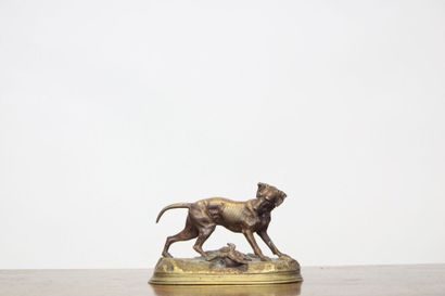 null Jules MOIGNIEZ (1835 - 1994), After. 
Hunting dog in bronze, signed on the terrace....