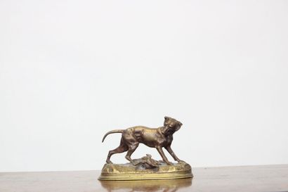 null Jules MOIGNIEZ (1835 - 1994), After. 
Hunting dog in bronze, signed on the terrace....