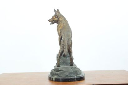 null Louis Albert CARVIN (1875-1951)
German shepherd on a rock, regula with brown...