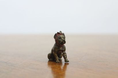 null VIENNE. Petit chien avec son noeud rouge,, bronze. XIXème siècle. Dimensions...