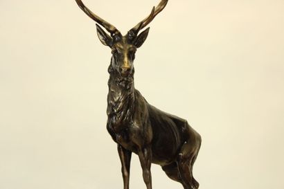 null School of the XIXth. Sculpture in chased metal representing a deer on a white...