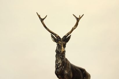null School of the XIXth. Sculpture in chased metal representing a deer on a white...