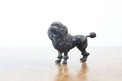 null VIENNA. Poodle, bronze. XIXth century. Dimensions : 4.5 x 7 x 2.5 cm.