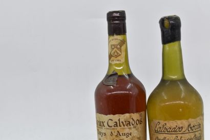 Réunion de deux bouteilles de Calvados comprenant : 1 bouteille de vieux Calvados...