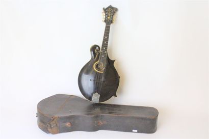 American mandolin 