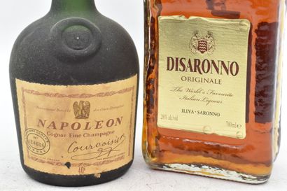 Réunion de 2 bouteilles d'alcool comprenant : 1 bottle Cognac Fin Champagne Napoleon...