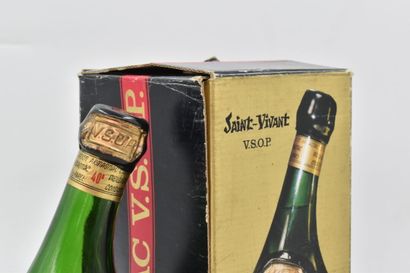 null 1 bottle Armagnac Saint-Vivant VSOP
Original box.