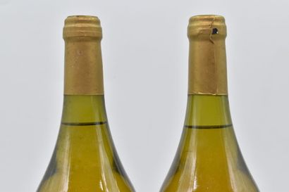 null 2 bottles of ARBOIS 2004 Hervé and Jean-Christophe Lornet. 
Levels : 2 cm under...