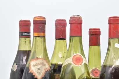Assortiment de 10 bouteilles de Vins de Bourgogne : GEVREY-CHAMBERTIN - Maison Thomas...