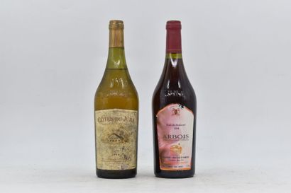Assortiment de 2 bouteilles de vins du Jura : 