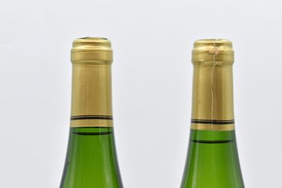 null ALSACE
Grand Cru "Froehn
2001
Fernand Ziegler
2 bottles

Levels: 0.5 cm under...