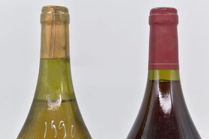 Assortiment de 2 bouteilles de vins du Jura : ARBOIS - Rosé de Poulsard - Fruitière...