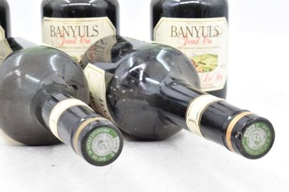 Assortiment de 5 bouteilles de vins de Banyuls : BANYULS (Blanc) - Grand Cru - Doux...