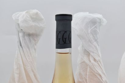 null CÔTES DE PROVENCE (Rosé)
Garrus
2016
Château d'Esclans (Sacha Lichine)
6 bouteilles

Niveaux...