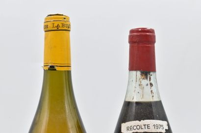 Assortiment de 2 bouteilles de vin et spiritueux de Bourgogne : BOURGOGNE ALIGOTE...
