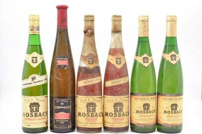 Assortiment de 6 bouteilles de vins d'Alsace :  