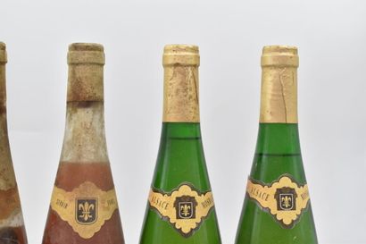 Assortiment de 6 bouteilles de vins d'Alsace : ALSACE - Pinot Noir - Mosbach 
1978...
