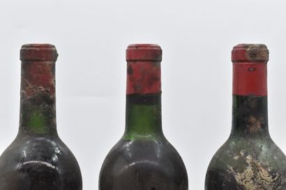 null SAINT-ESTEPHE
Cru Bourgeois Exceptionnel
1964
Château Haut-Marbuzet
3 bouteilles

Niveaux...