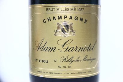 null 1 magnum of white CHAMPAGNE BRUT "Cordon rouge" NM, MUMM, in its box. 
1 bottle...