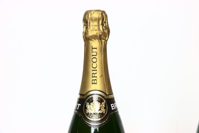 null 1 bottle of CHAMPAGNE BRUT blanc NM, BRICOUT.
1 bottle of CHAMPAGNE BRUT blanc...