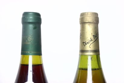 null 1 bottle of CÔTES DU JURA white 1999, DOMAINE MOREL-THIBAUT.
1 bottle of ARBOIS...
