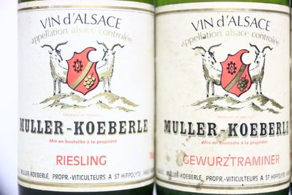 null 1 bouteille de RIESLING blanc 1979, MULLER-KOEBERLE. Niveau : 6 cm sous la capsule.
3...