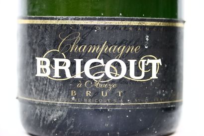 null 1 bouteille de CHAMPAGNE BRUT blanc NM, BRICOUT.	
1 bouteille de CHAMPAGNE BRUT...