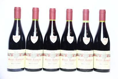 6 bottles of SAINT-ROMAIN SOUS LE CHÂTEAU...