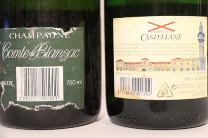 null 1 bottle of CHAMPAGNE BRUT NM, COMTE BLANZAC.
1 bottle of CHAMPAGNE BRUT 1999,...
